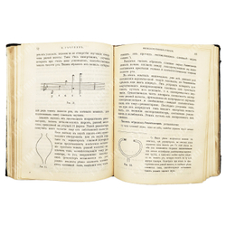 Сеченов И. М. Физиологические очерки. Конволют в 2.ч. № 8, № 9. СПб. Издание О. Н. Поповой. 1898