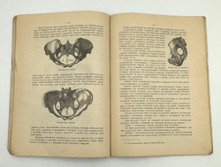Панцер Г. Женщина. Разъемная модель.  СПб.; Киев; Харьков: Южно-русское изд-во Ф.А. Иогансон, 1907