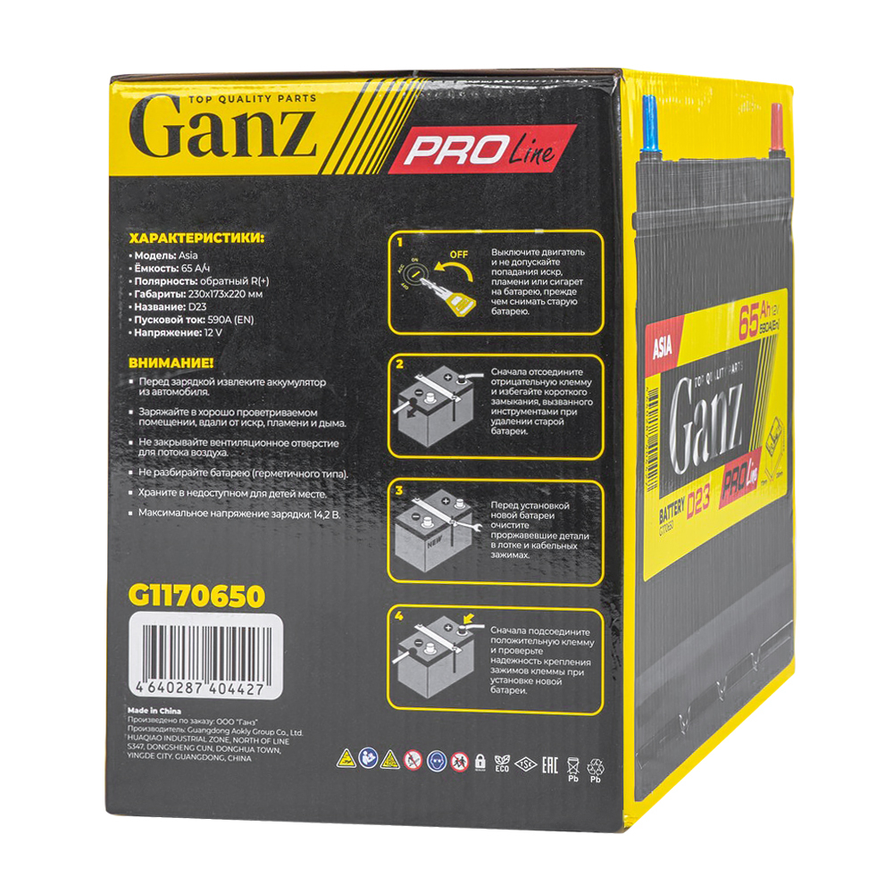 Аккумулятор GANZ PRO-Line JIS 65 А/ч обратный R+ 230x173x220 D23 EN 590 А