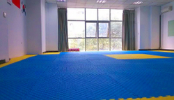 Будо-маты (татами) Экополимеры (1 плита 100х100х2см, 1кв.м./уп) "Сине-желтый"