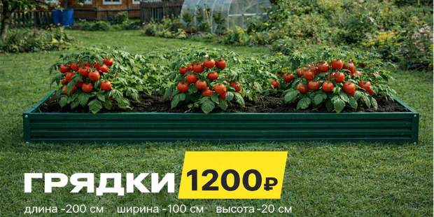 Как купить?