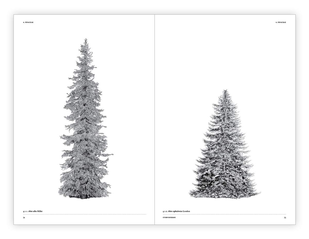 The Architecture of Trees