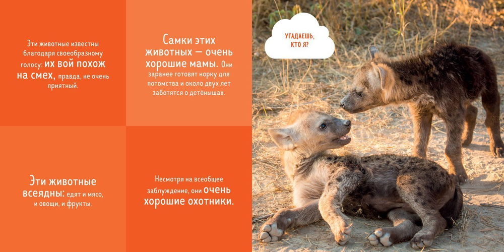 Удивительный мир. Кто прячется в пустыне?