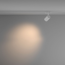 Трековый светильник Maytoni Technical TR029-3-10W3K-M-W