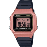 Мужские наручные часы Casio Collection W-217HM-5A