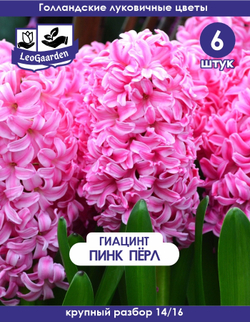 Луковицы цветов гиацинт Пинк перл, 6шт