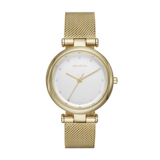 Наручные часы Skagen SKW2486