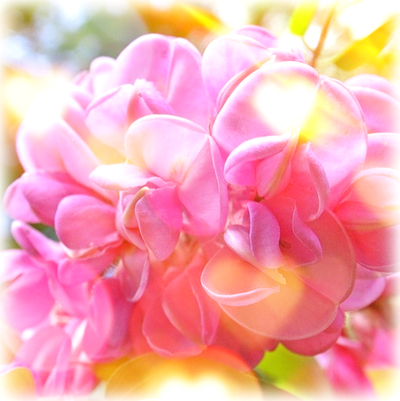 Практический Интенсив «Путь Физического Мастерства» Часть 25