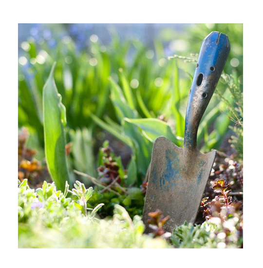 Чем заняться дома во время карантина?