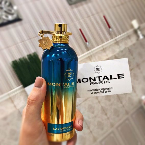 Montale Day Dreams