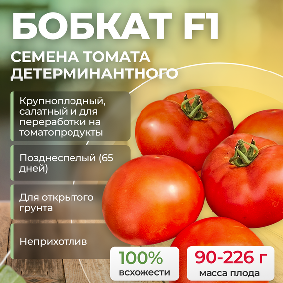 БОБКАТ F1 семена томата (Syngenta | Alexagro) купить