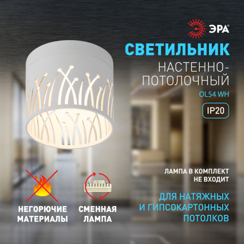 Светильник настенно-потолочный спот ЭРА OL54 WH под лампу GX53 белый IP20