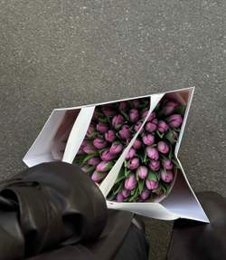 51 розовый тюльпан в упаковке