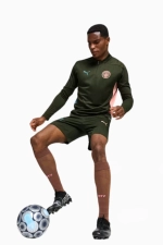 Кофта Puma Manchester City 24/25 Training - зеленый