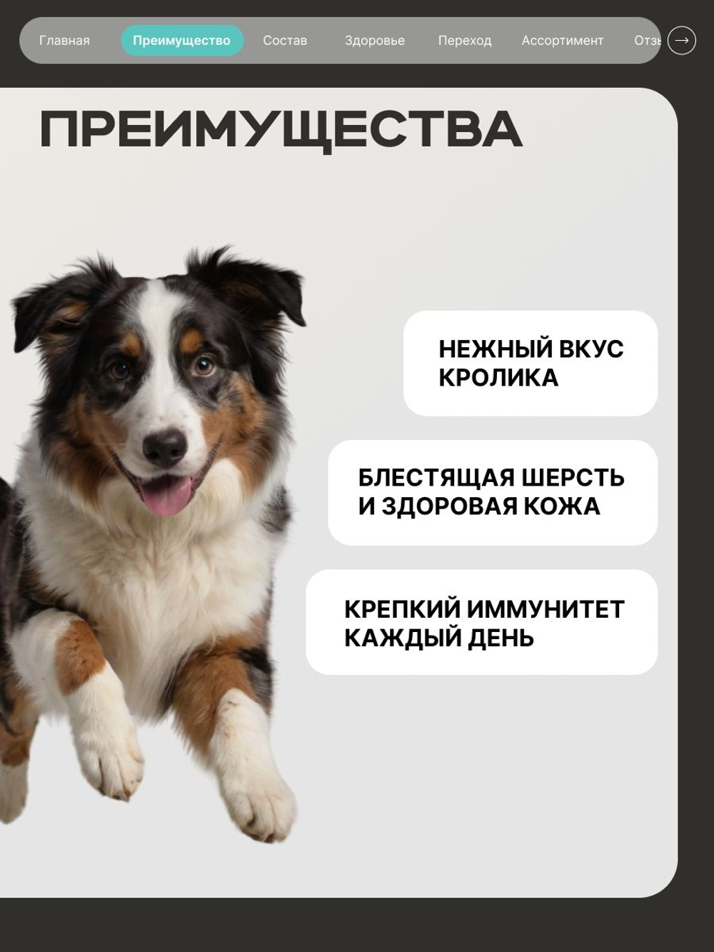 Корм сухой для собак средних и крупных пород, забота о зубах и деснах, с кроликом, 3 кг, QUATTRO