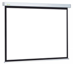 Экран  Cactus CS-PSW-152X203