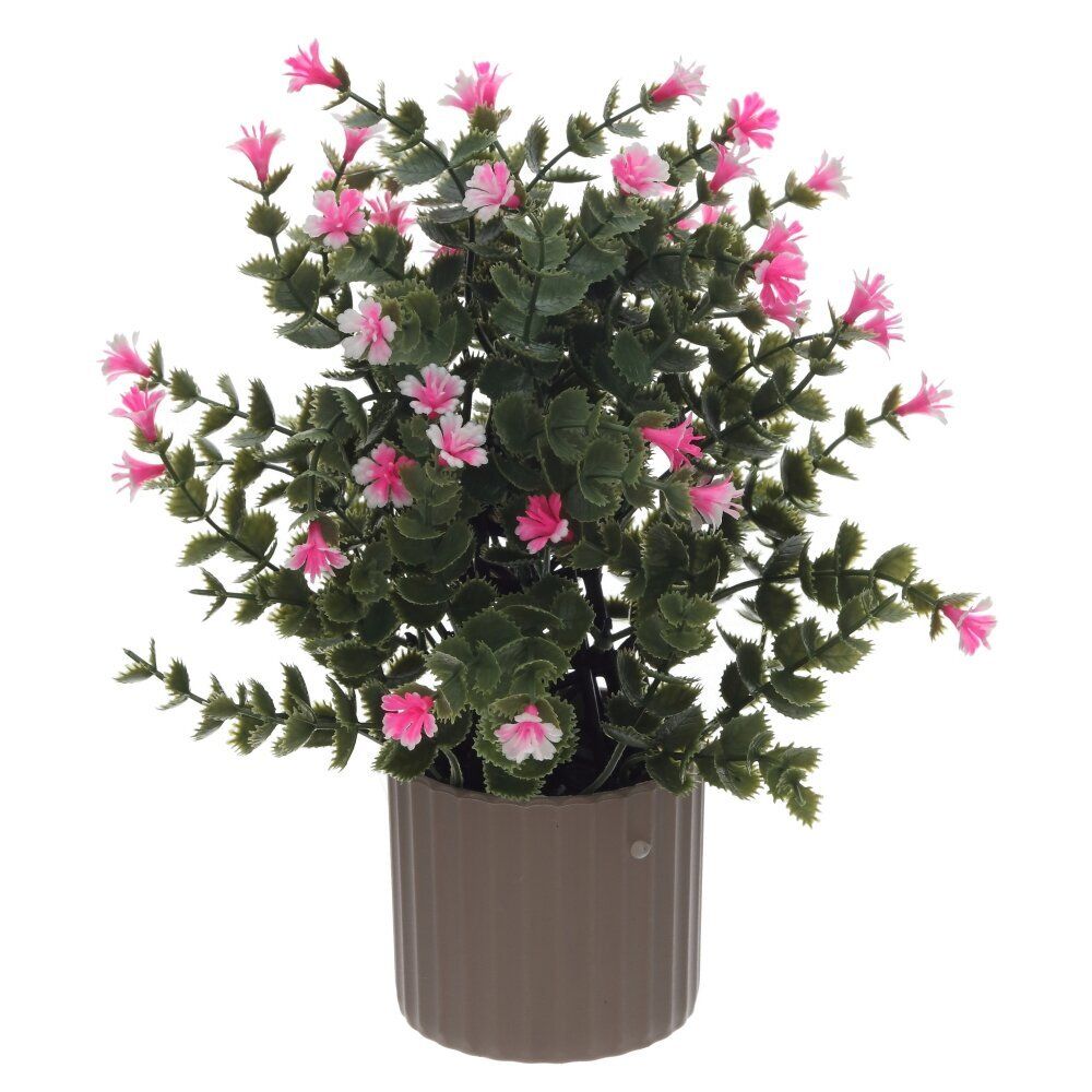 GAEM Цветочная композиция, L16 W16 H26 см