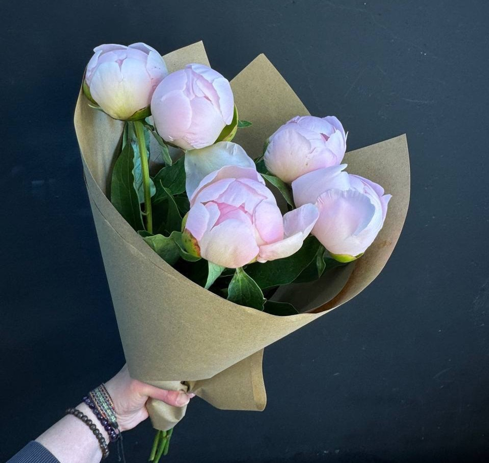 Пионы розовые нежные 5 шт
