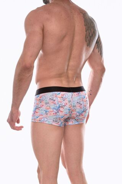 Мужские трусы-боксеры с принтом в виде штемпелей (Размер: L) (Цвет: разноцветный)