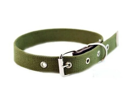 Ошейник для собак одинарный, 35мм. (10шт)