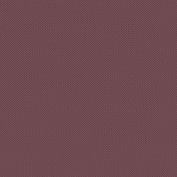 Велюр Blitz / Блитц