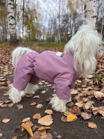 Демисезонный комбинезон для собак (девочка)