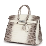 Сумка из коллекции Y с палладиевой фурнитурой Hermès Birkin