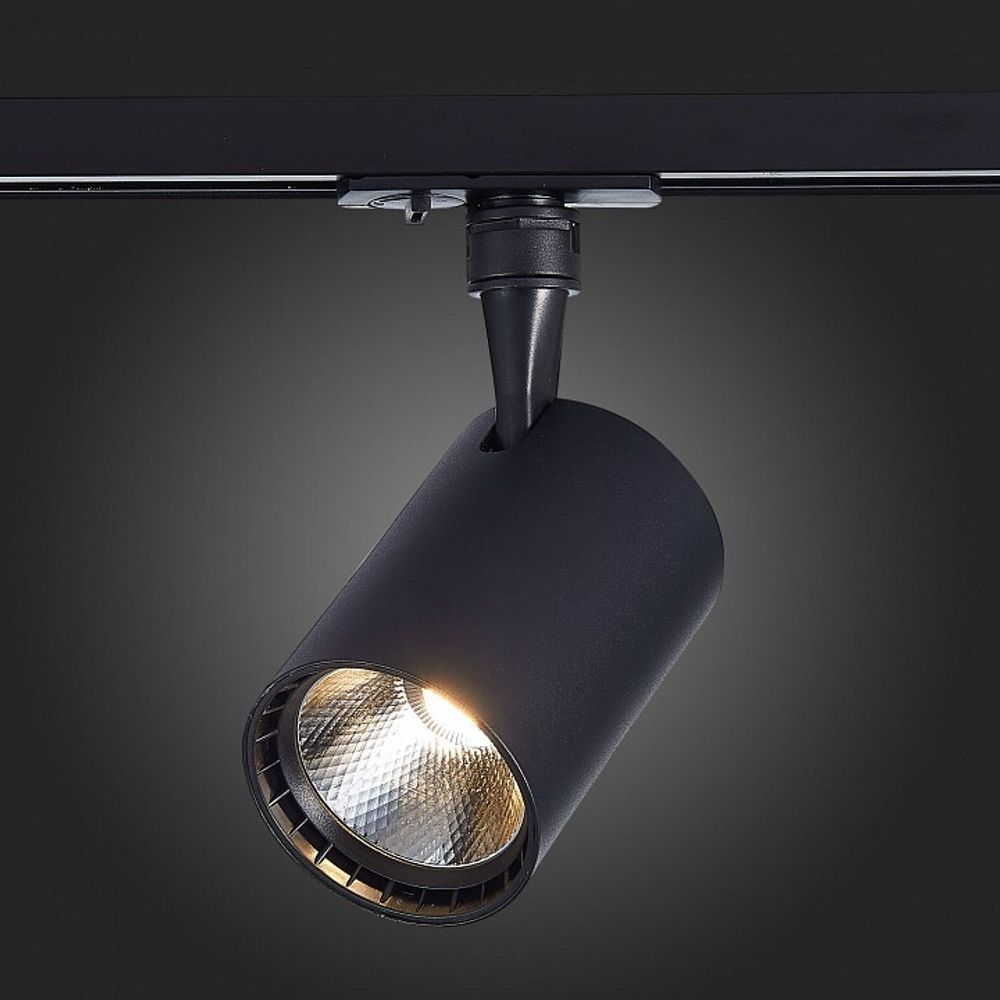 Светильник на штанге ST-Luce Cami ST351.446.30.36