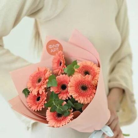 Красочные герберы