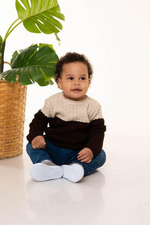 Свитер для мальчика (р.24/74-80, коричневый )