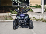 Lion 125 CC камуфляж