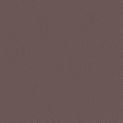 Велюр Blitz / Блитц