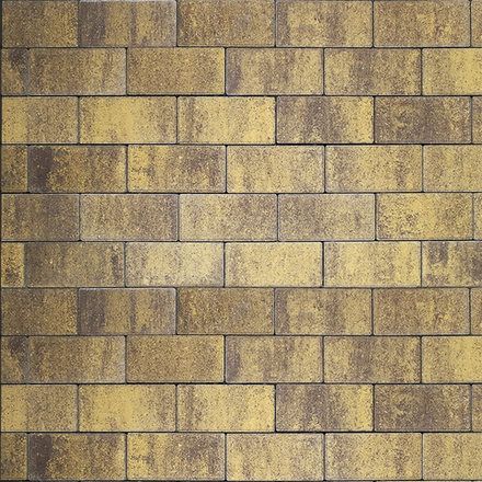 Тротуарная плитка ПРЯМОУГОЛЬНИК 200x100 мм - Листопад гладкий Янтарь