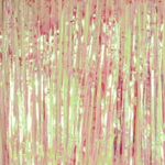 Занавес фольгированный «Перламутр» ш1м, в2м (глянец), рубин