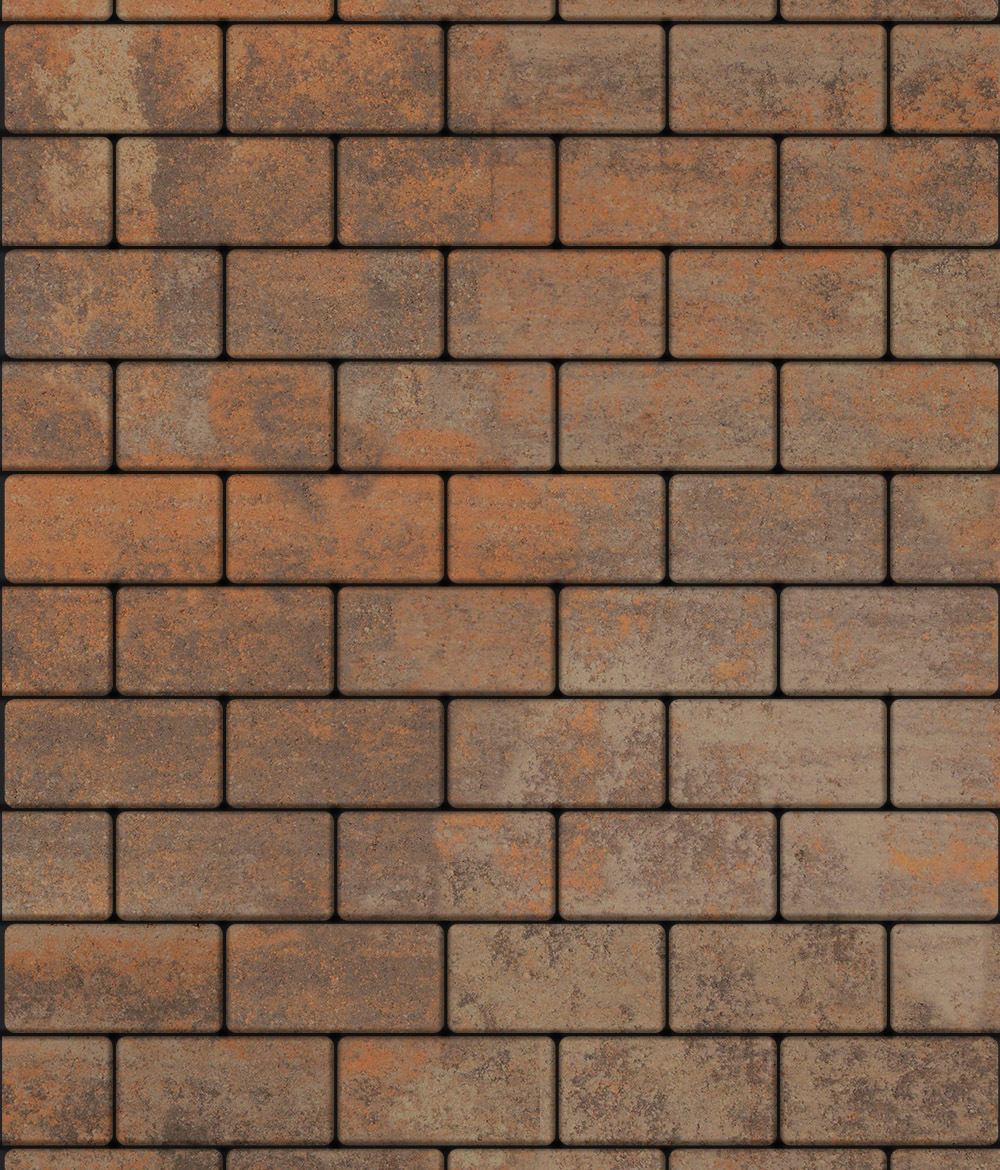 Тротуарная плитка ВЫБОР, форма Прямоугольник 100*200, h=80мм