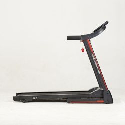 Беговая дорожка Koenigsmann MODEL B2.0