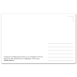 Груша и незабудка