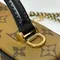 Сумка Louis Vuitton Vanity Chain Pouch коричневая