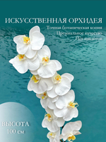 Орхидея фаленопсис белая 95 см