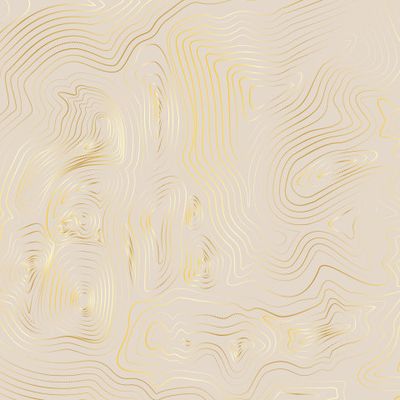 Топографическая карта. Золотые линии на бежевом фоне