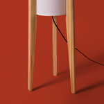 Напольный светильник (торшер) Freya FR5543FL-01T