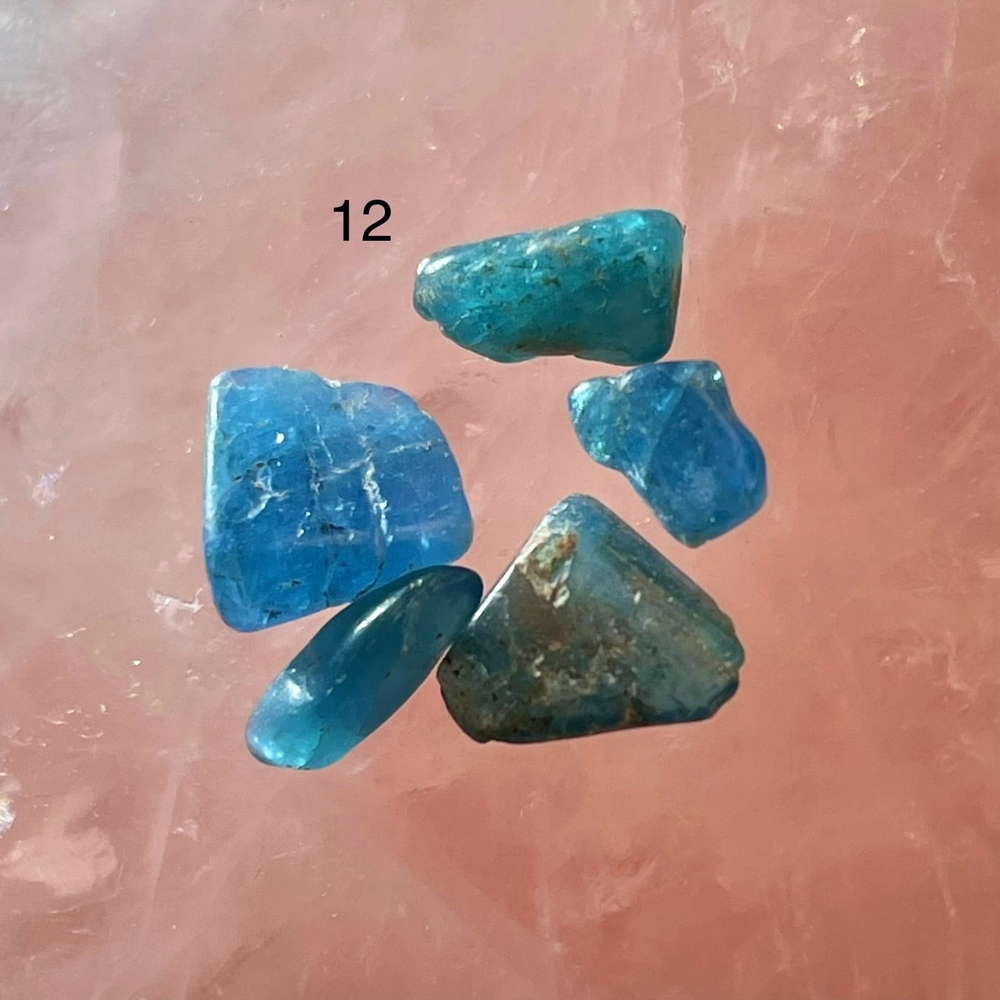 50137 Апатит галтовка 6-10мм набор--1