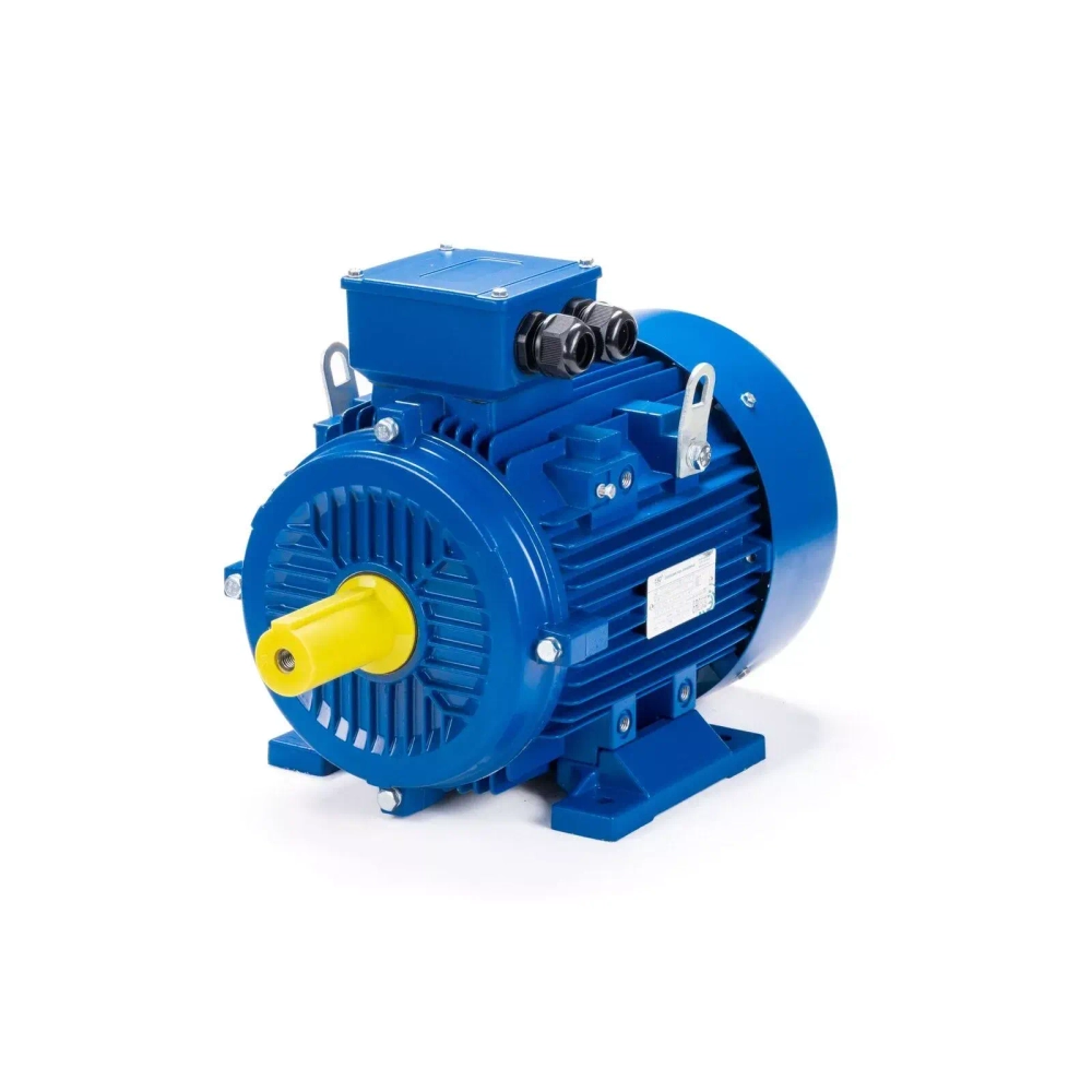 Электродвигатель ESQ 315 LB4-SDN- 200/1500 IMB3