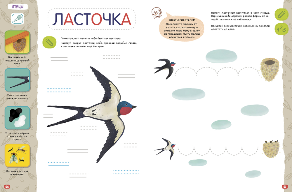 Большая книга животных. 2-4 года