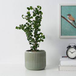 IKEA STILREN  (ИКЕА СТИЛРЕН)  -  Простыня, темно-бирюзовая, 15 см