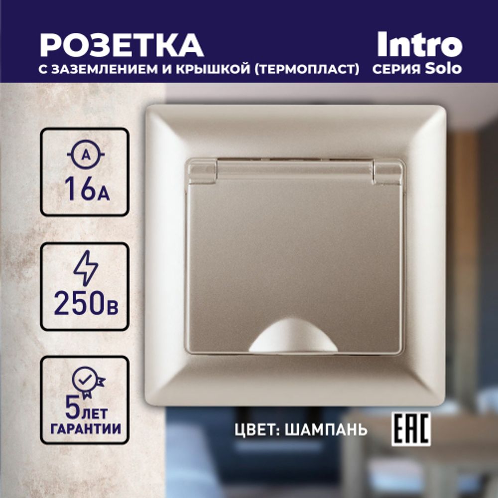 Розетка Intro Solo 4-203-04 с заземлением 2P+E Schuko с крышкой, 16А-250В, IP20, СУ, шампань