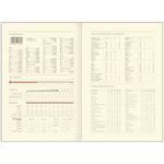 Подарочный набор: Шариковая ручка Parker Jotter XL SE20 Monochrome Pink Gold и Ежедневник недатир. Golden mirror