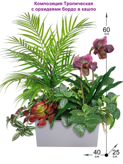 Композиция Тропическая с орхидеями бордо в кашпо