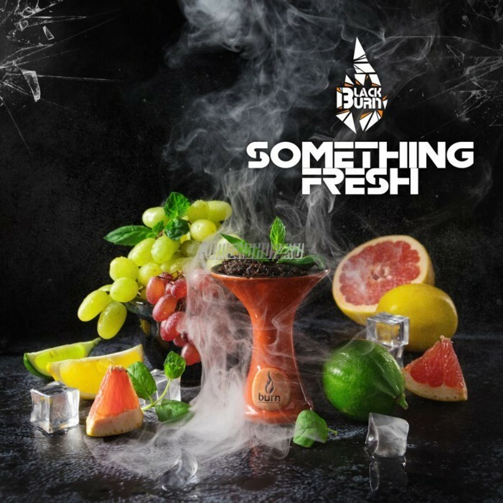 Black Burn - Something Fresh (200г)