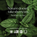 New Chapter, комплекс ферментированного железа, 60 вегетарианских таблеток